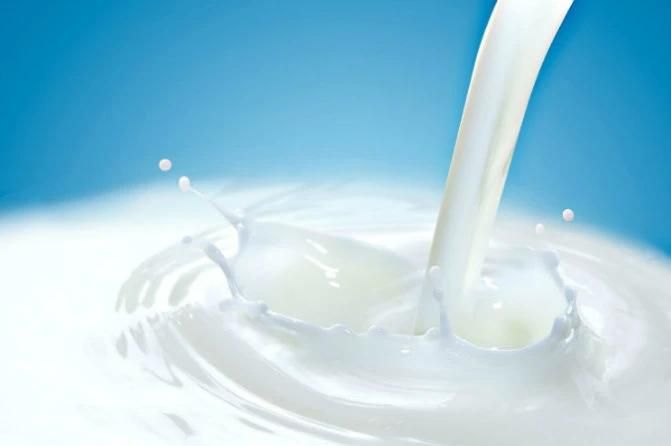 Milk Processing Plant Milk Production Line