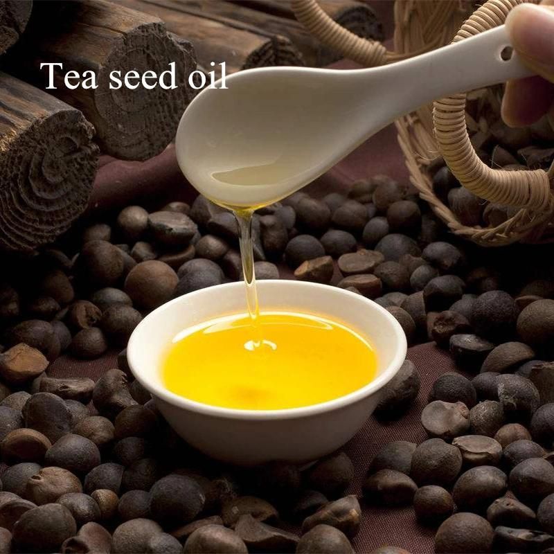 Cold Press Tea Seed Oil Camellia Oil Processing Equipment