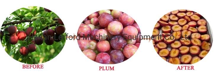 Fruit Seed Removing Date Apple Pear Apricot Cherry Pit Remove Olive Pitting Pitter Processing Machine