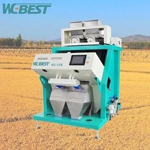 Almond Apricot Color Sorter, CCD Almond Apricot Color Sorting Machine, Color Selector