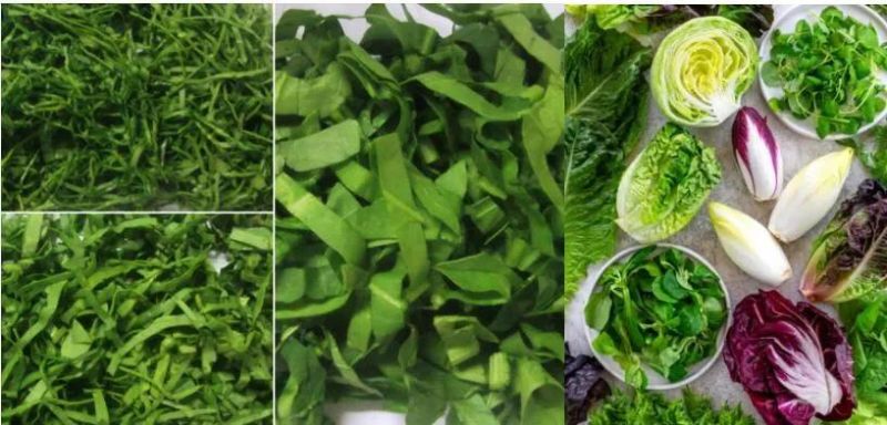Lettuce Drying Machine Spinner Vegetable Dewater Machine