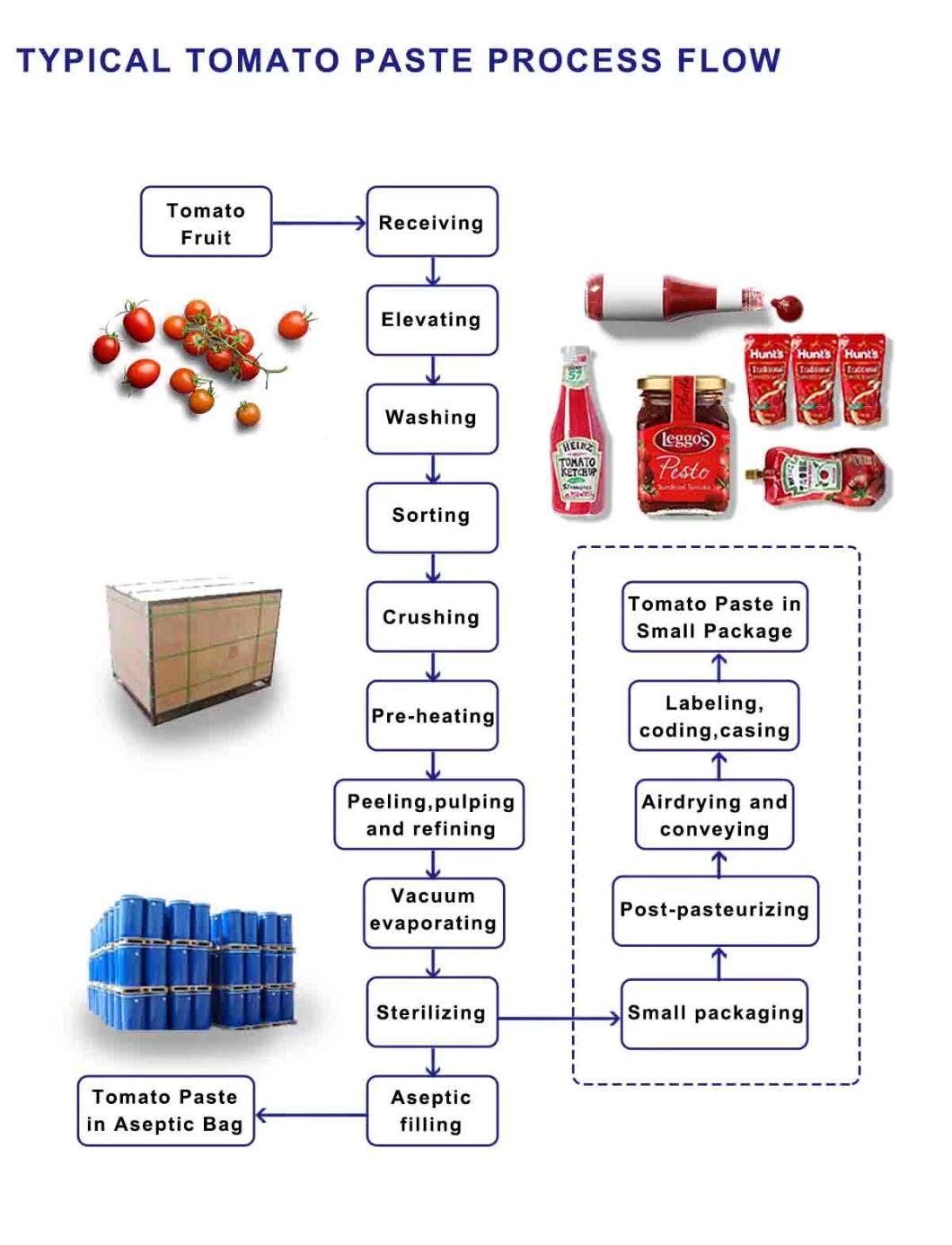 Mushroom Tins/Mushroom Slices/Mushroom Paste Processing Line/Equipment/Aseptic Filling Machine