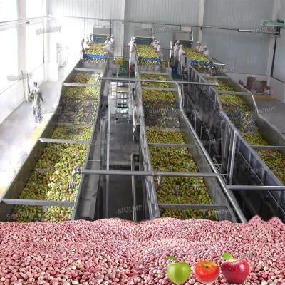 Automatic Complete High Profit and Low Price Apple Puree Juice Processing Line and ...