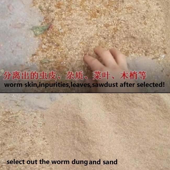 Mealworm Screening Machine Superworm Screening Machine Factory Sale Worms Separator