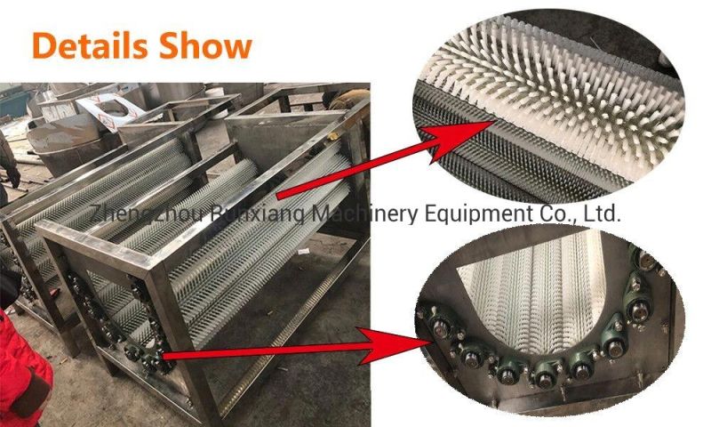 Stainless Steel China Vegetable Brush Washing and Peeling Machine