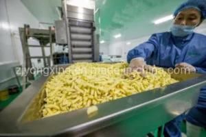 Factory Price Industrial Fully Automatic Frozen French Fries Production Line for Sale Made ...