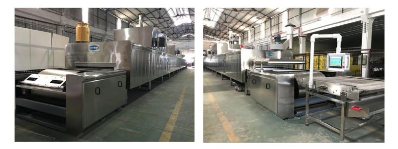 Skywin Full Automatic Bear Biscuit Production Line Equipment Factory Price