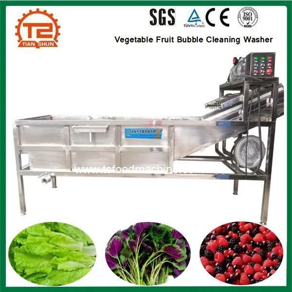 Vegetable Fruit Washing Machine Bubble Cleaning Washer