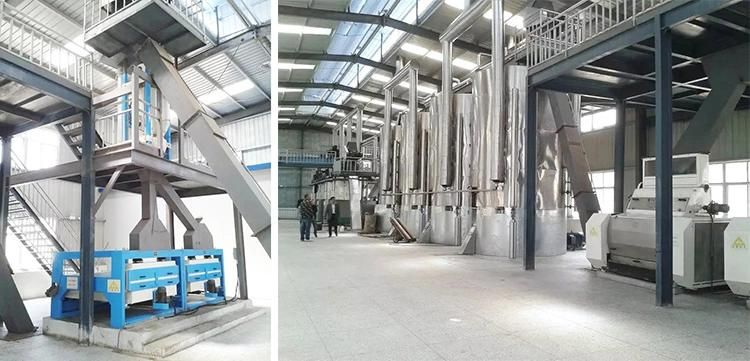 Famous Brand Peanut Oil Pressing Machine/Oil Refining Machine