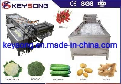 Air Bubble Vegetable Washing Machine Food Processing Machinery