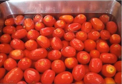 Fruit Blanching Machine Blanching Machine Tomatoes Belt Blanchers