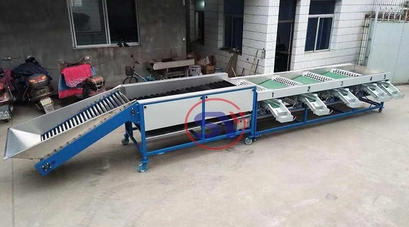 Sugar Orange Avocado Fruit Sorting Grading Machine