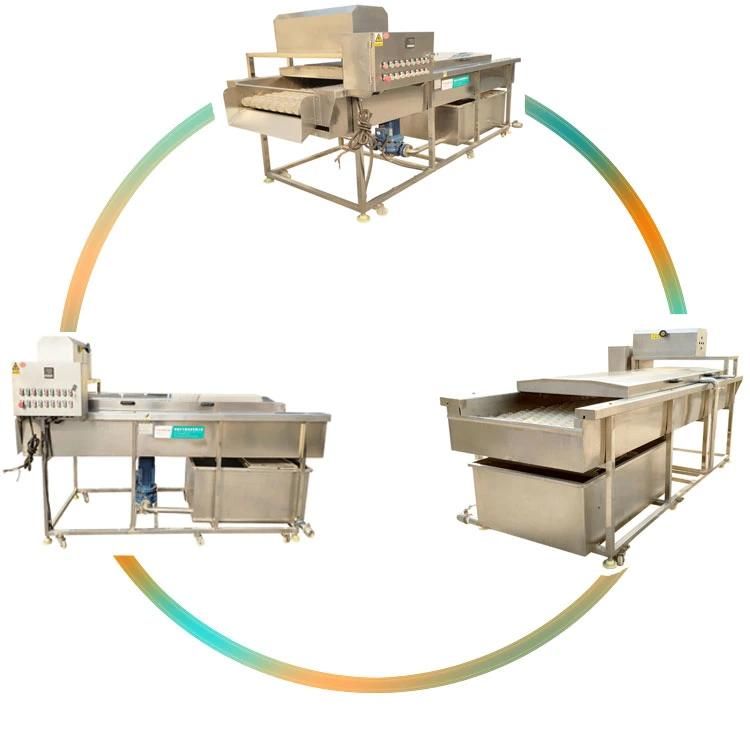 Fruits Cleaning Washer Big Tank Rush Roller Apple Orange Washing Machine