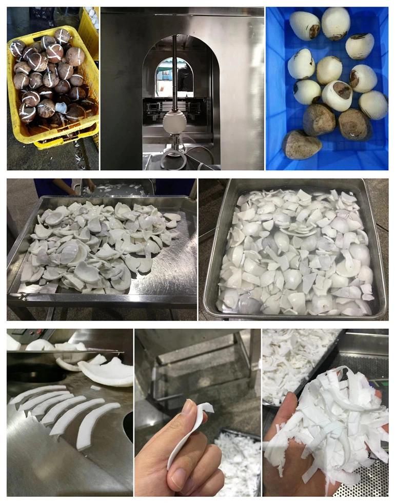 Top Quality Coconut Shell Breaking Machine