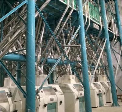 Complete 5-500t/24h Wheat/Maize Flour Mill Milling Machine
