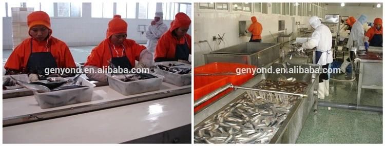 High Efficiency Sardines in Oil Processing Machine