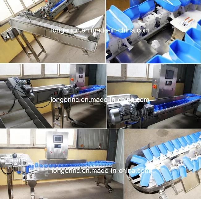 Stainless Steel Apple Soter Fruit Weight Sorting Machine