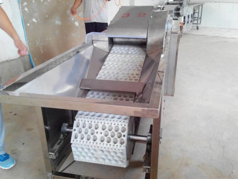 High Efficient Dates Pitting Machine