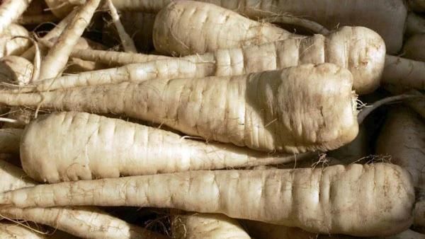 Vegetable Brush Washer Machines Parsnip Cleaning and Washing Machine