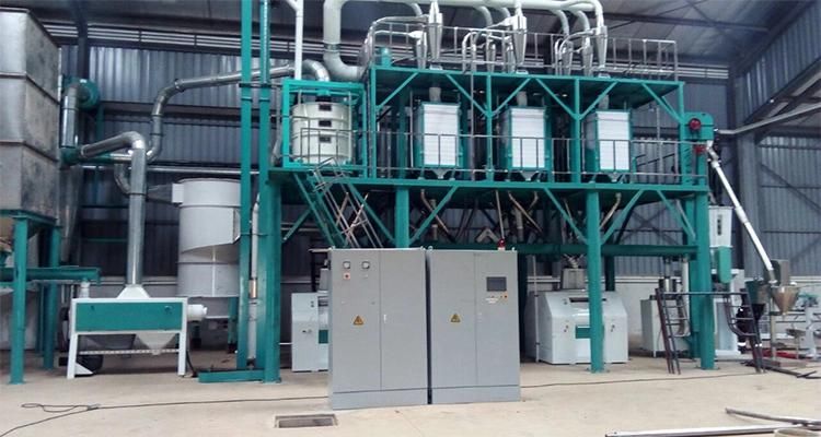 2021 50tonne Maize Flour Machinery Corn Flakes Grinding Facility