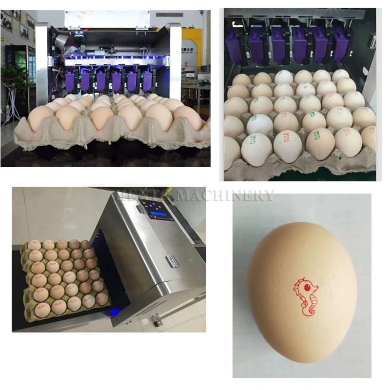 Long Service Life Hot Sale Small Scale Egg Washer Candler Grader Printer Machine Line