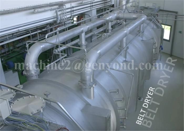 Design and Manufacturing Carrot Powder Production Line