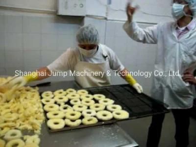 Dried Pineapple Ring Processing Machine Air-Pump Drying System and Package System