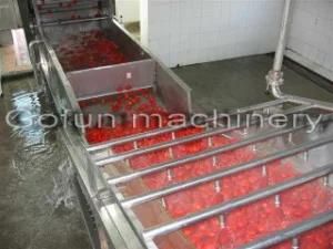 Advanced Designed Big Capacity Air Blowing Type Fruit Washing Plant Made in China