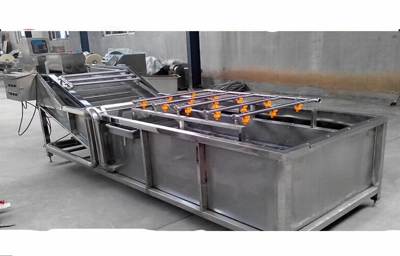 Best Selling Fruit Vegetable Air Bubble Washing Machinery