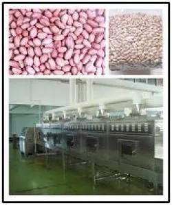 High Speed Small Peanut Roasting Machine