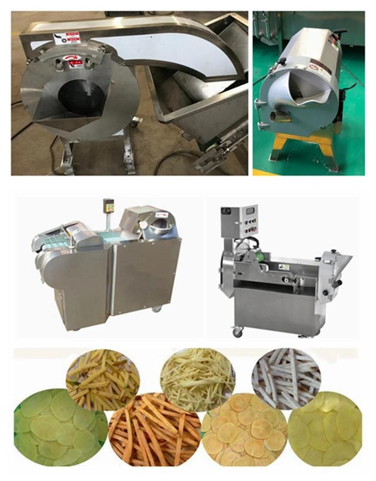 Sophisticated Technology Drying Equipment for Fruit Vegetable Processing Line