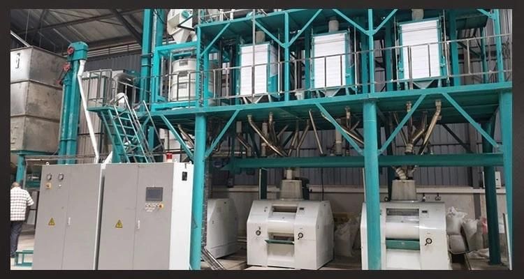 Full Automatic Maize Flour Mill Machine Running in Tanzania