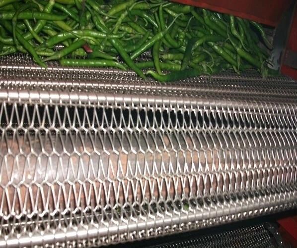 Apple Peach Apricot Fruit Vegetable Mesh Belt Conveyor Dryer