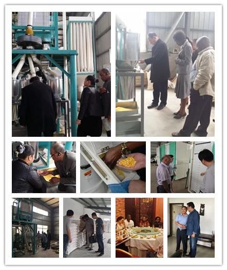 Small Scale Sifted Corn Milling Machinery Maize Flour Milling Machines 