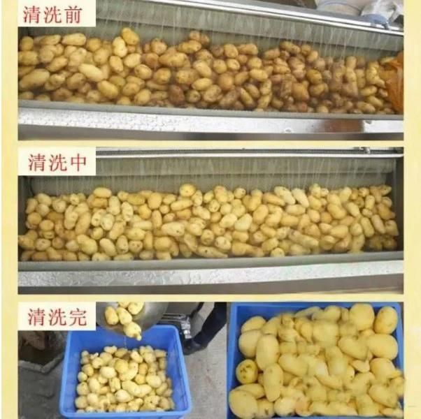 Vegetable Potato Carrot Apple Brush Washer and Peeler Machine