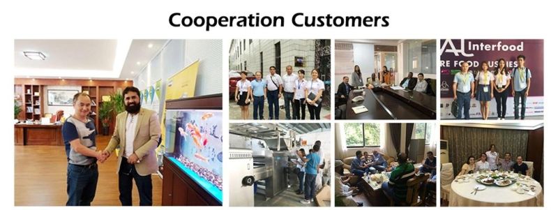 Manufacturer Cracker Production Line Hello Panda Cookie Maker Biscuit Factory Machine