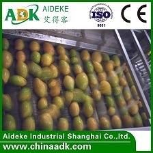 Mango Juice Processing Line/Fruit Juice Production Machine