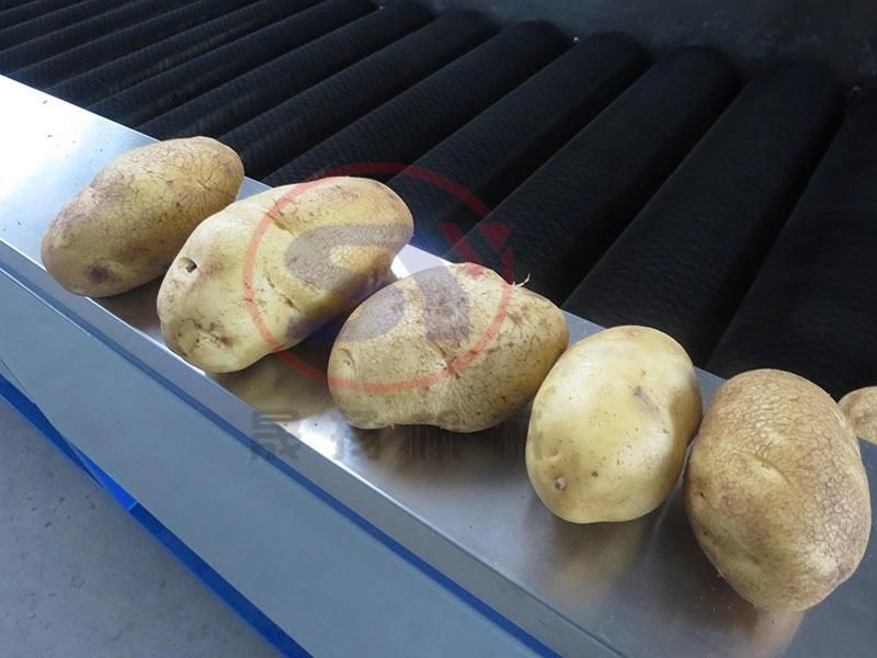 Fruit&Vegetable Washing Grading Waxing Machine Production Line