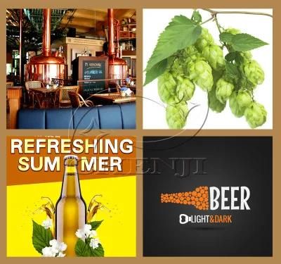 3bbl 7bbl 10bbl Turnkey Project of Brewery Whole Set Beer Brewery Equipment Beer Brewing ...