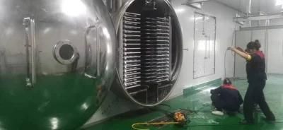 Automatic CE Certificate Freeze Dryer Vacuum Freeze Drying Equipment