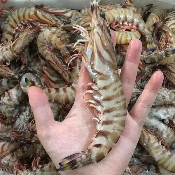 Seafood Bubble Washing Cleaning Machine Fish and Shrimp Washer Bubbles