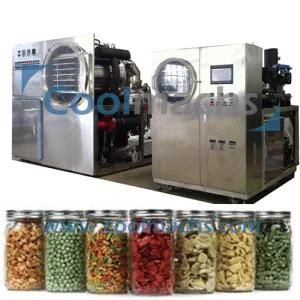 Pilot Freeze Dryer / Lyophilizer for Testing Food Products