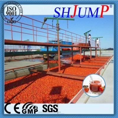 Tomato Paste Making Machine-Turn Key Solution