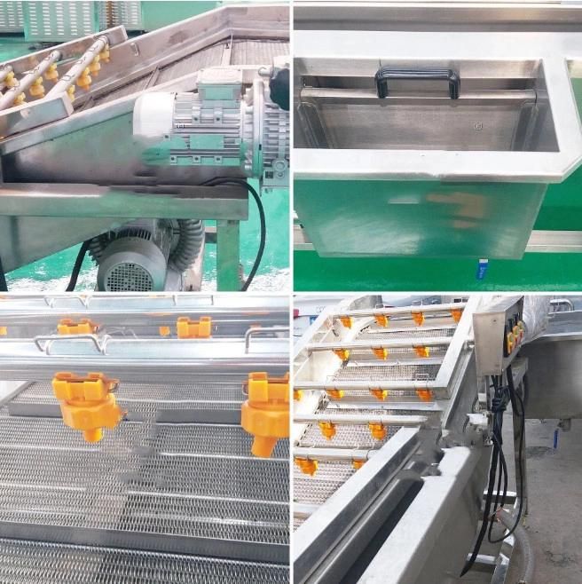 Industrial Use Air Bubble Leafy Lettuce Vegetable Washing Machine