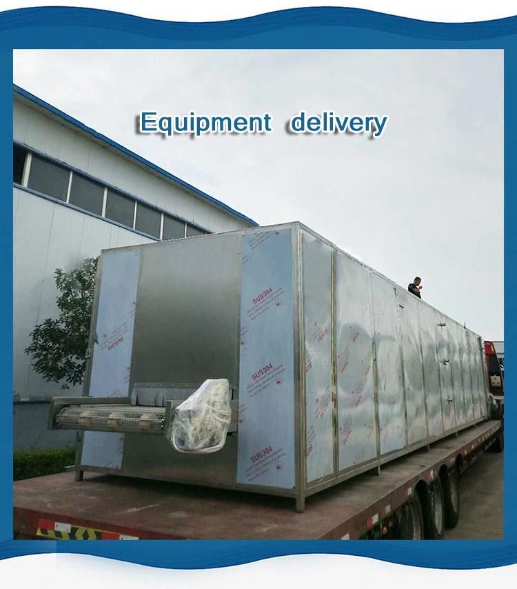 Individual Quick Freezing Machine IQF/Meat Quick Freezing Machine