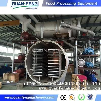 50m2 Freeze Drying Food Machine Vegetables and Fruits Lyophilizer