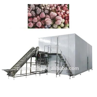 3000kg Commercial Quick Freezer Machinery for Freezing Machine Fruit Vegetable