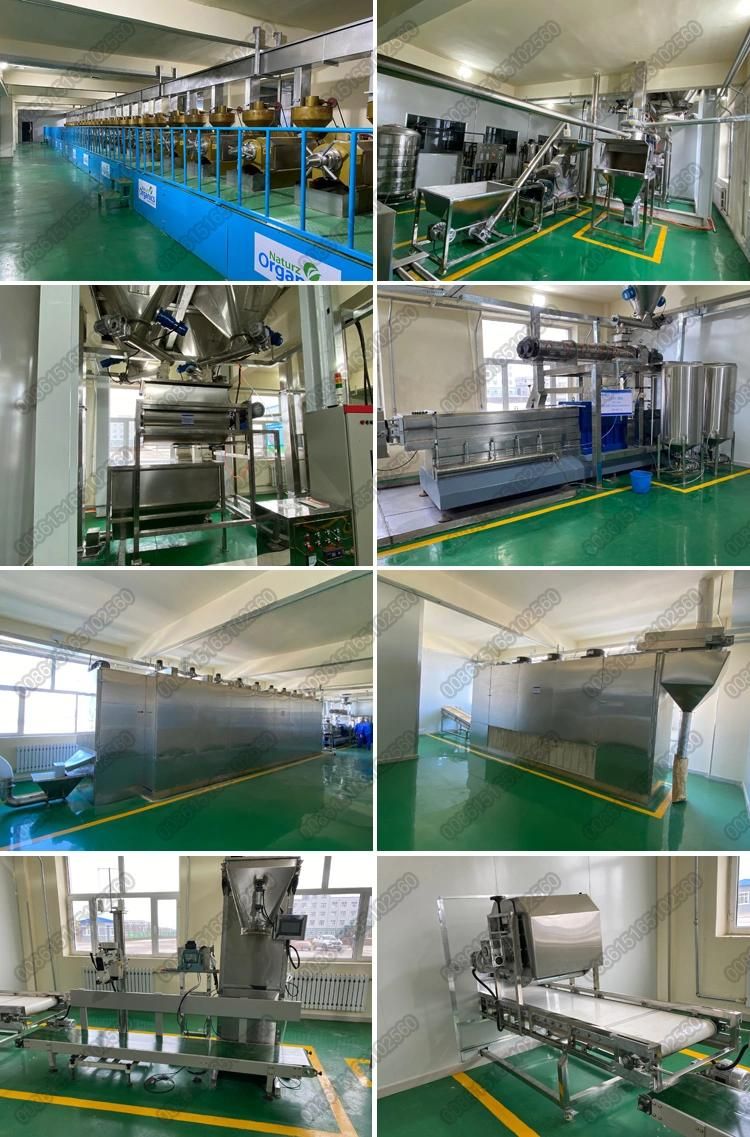 1tph Automatic Soya Nuggets Pieces Chunks Tvp Tsp Granulars Making Extruder Machine