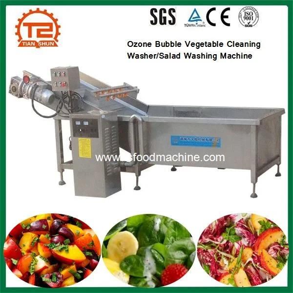 Ozone Bubble Vegetable Cleaning Washer/Salad Washing Machine