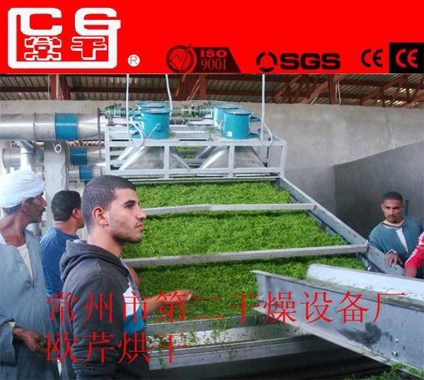 High Quality Industrial Cannabis Leafs Continuous Conveyor Mesh Belt Dryer